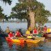 paddling_group_lakemartin