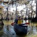 virgin_cypress