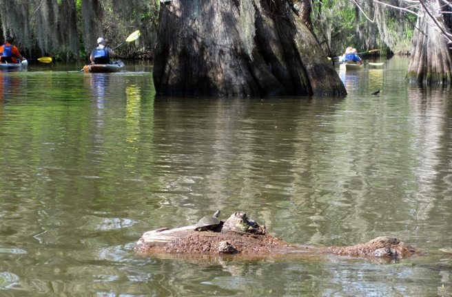 Trip Report: Two O'Clock Bayou Paddle