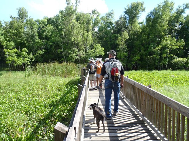 Lake Fausse Pointe State Park Pack And Paddle