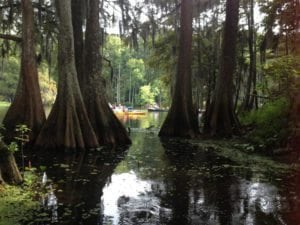 Chicot State Park Paddle Pack & Paddle