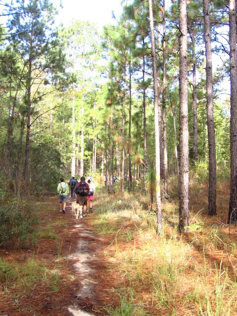 Wild Azalea Trail - Kisatchie National Forest - Pack and Paddle