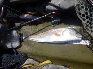 Biloxi Marsh July 2014 Pack & Paddle