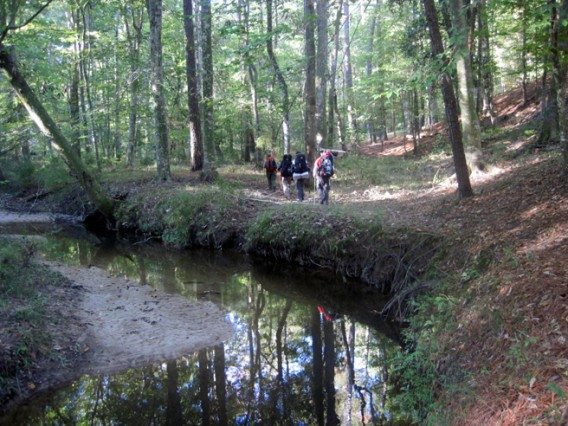 Wild Azalea Trail Map Wild Azalea Trail - Kisatchie National Forest - Pack And Paddle