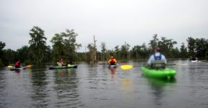 Kayaking 101 Pack & Paddle