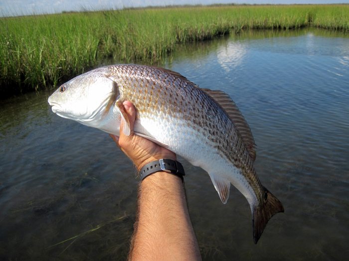 LA Biloxi Marsh Mothership Kayak Fishing Trip August 2014 Pack & Paddle