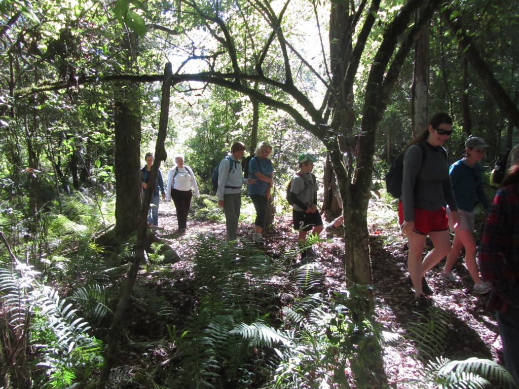 Chicot state park hiking hotsell