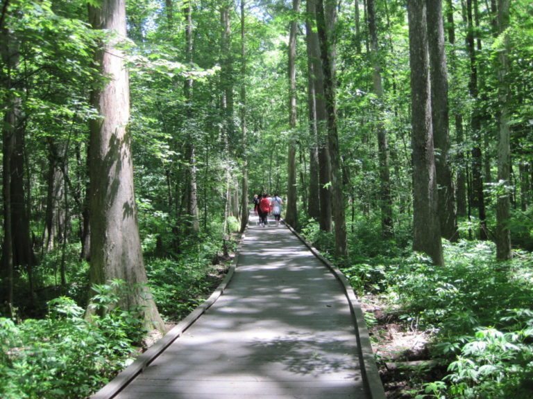 Chicot State Park - Pack and Paddle