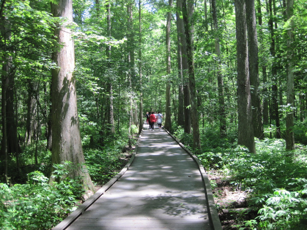 Chicot State Park Pack And Paddle