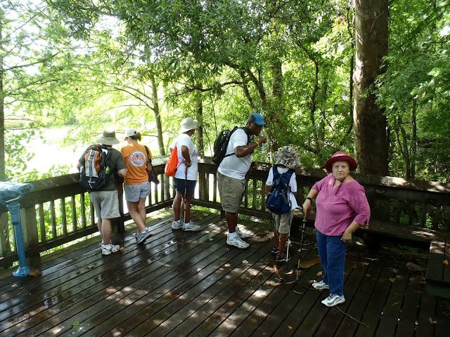 Lake Fausse Pointe State Park Pack And Paddle