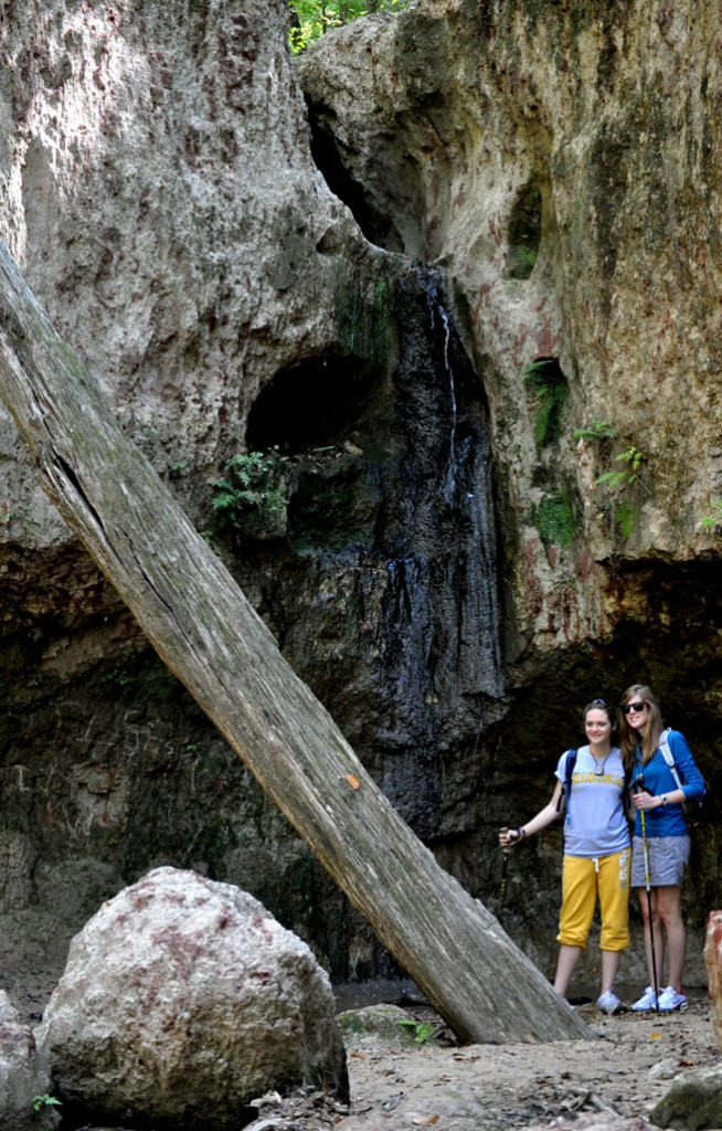 Camping near clark shop creek natural area