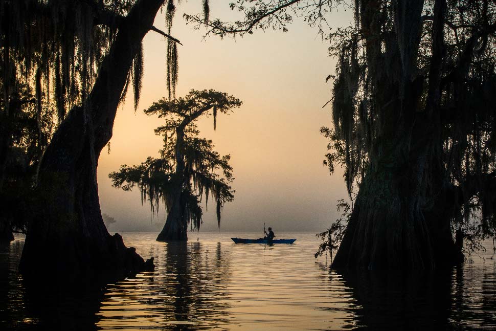 The Southern Atchafalaya area that we call the “Land of the Giants” i