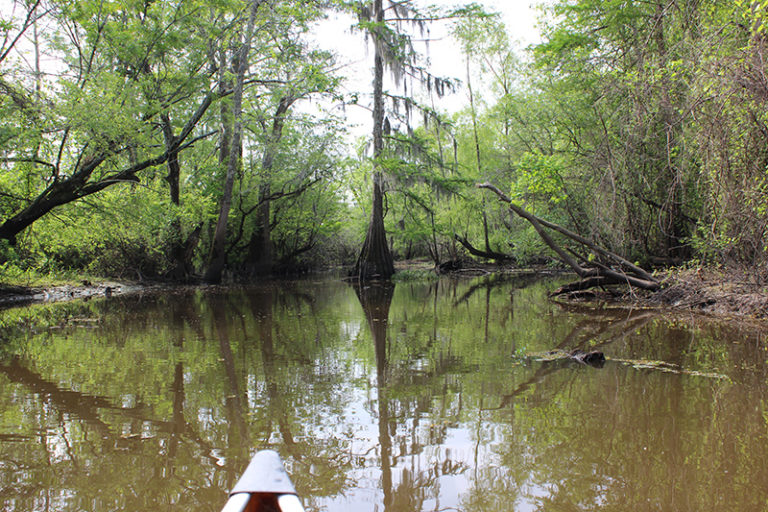 Escape the News Bayou Tortue Lake Charlo Pack and Paddle